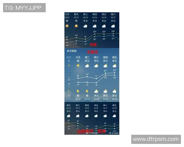 西部联与中央海岸对决前瞻分析及赛果预测全解析